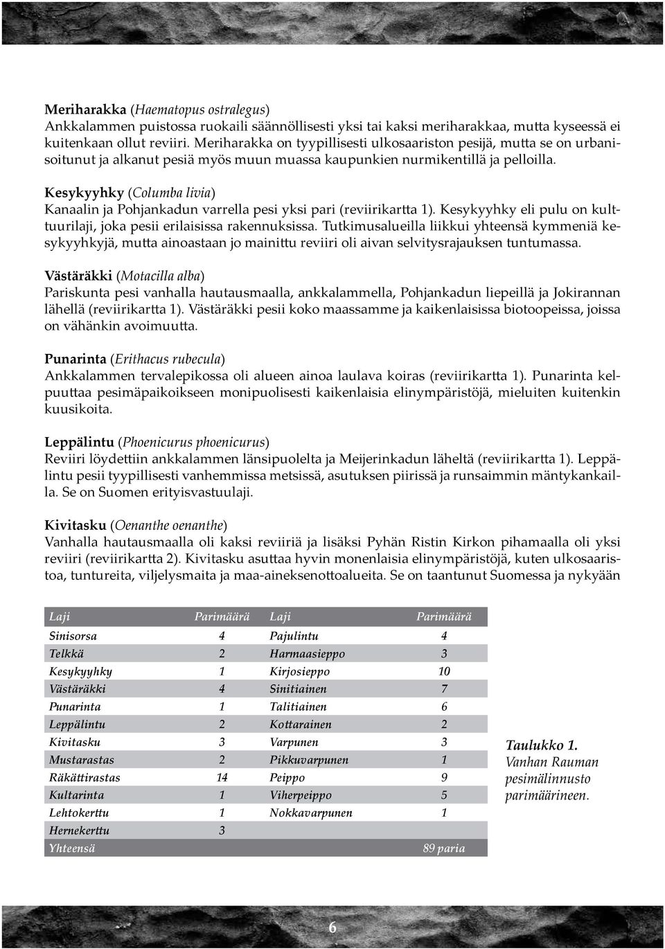 Kesykyyhky (Columba livia) Kanaalin ja Pohjankadun varrella pesi yksi pari (reviirikartta 1). Kesykyyhky eli pulu on kulttuurilaji, joka pesii erilaisissa rakennuksissa.