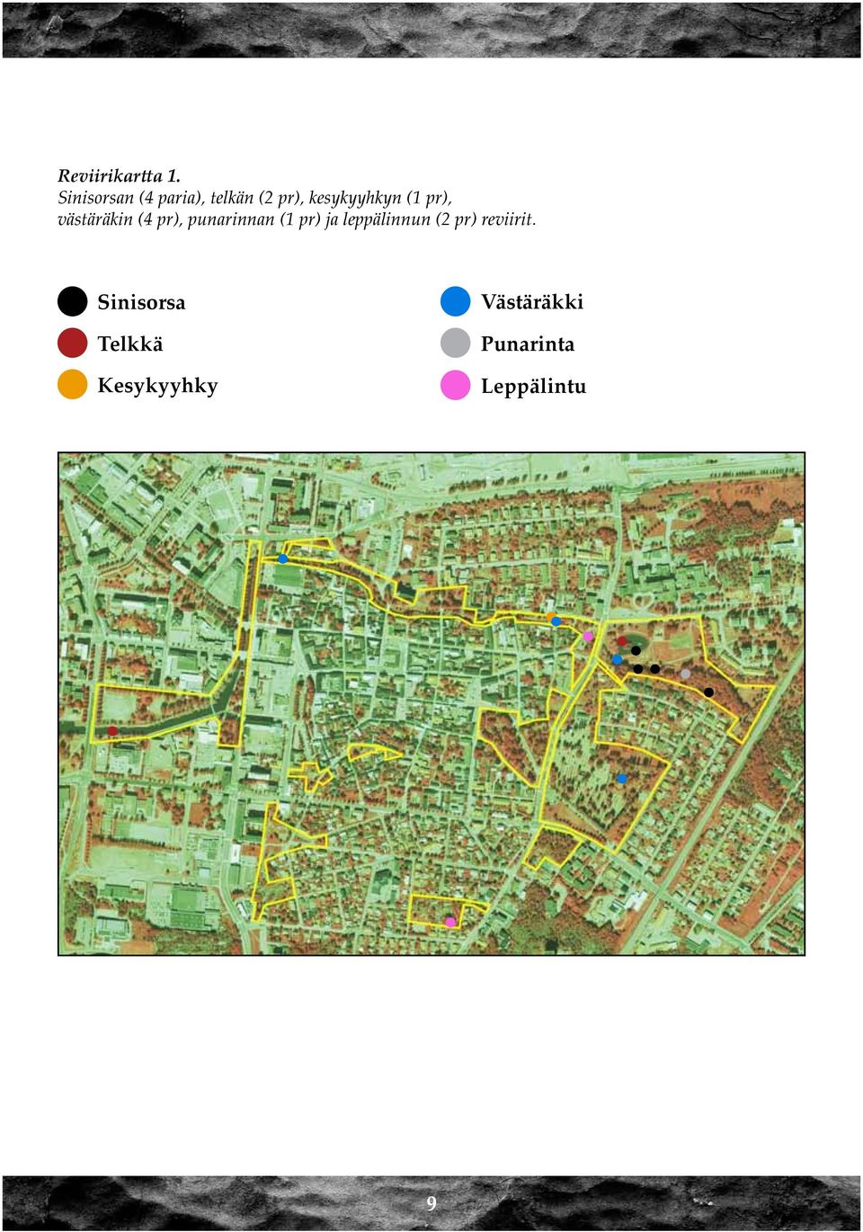 (1 pr), västäräkin (4 pr), punarinnan (1 pr) ja