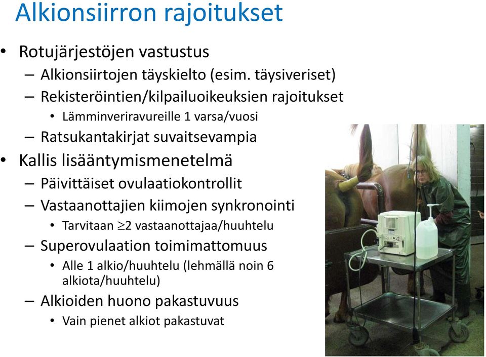 suvaitsevampia Kallis lisääntymismenetelmä Päivittäiset ovulaatiokontrollit Vastaanottajien kiimojen synkronointi Tarvitaan