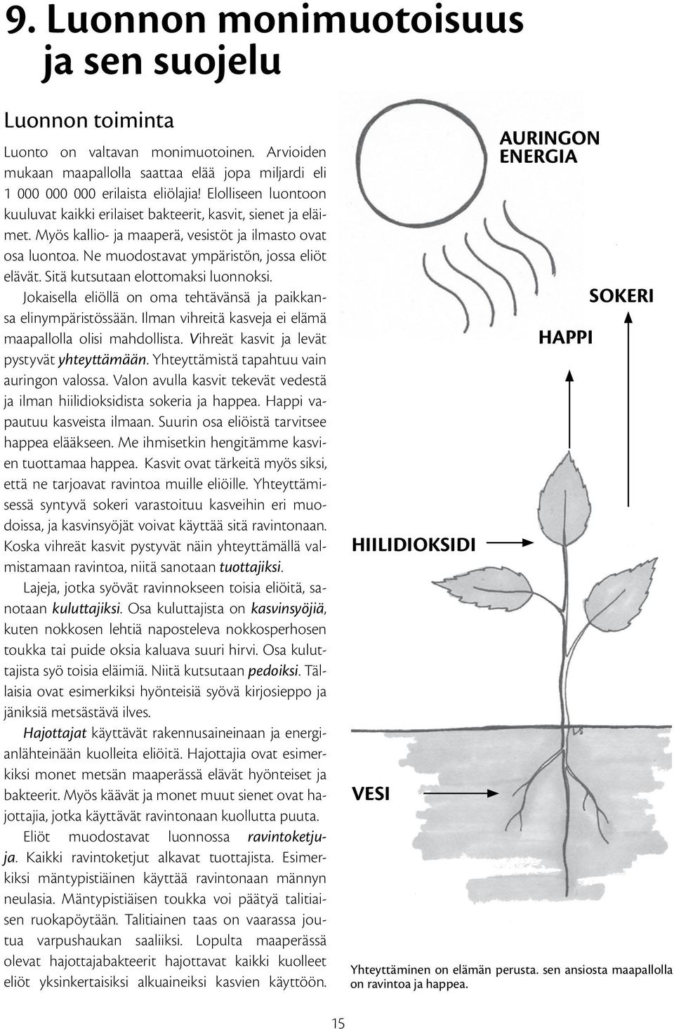 Sitä kutsutaan elottomaksi luonnoksi. Jokaisella eliöllä on oma tehtävänsä ja paikkansa elinympäristössään. Ilman vihreitä kasveja ei elämä maapallolla olisi mahdollista.