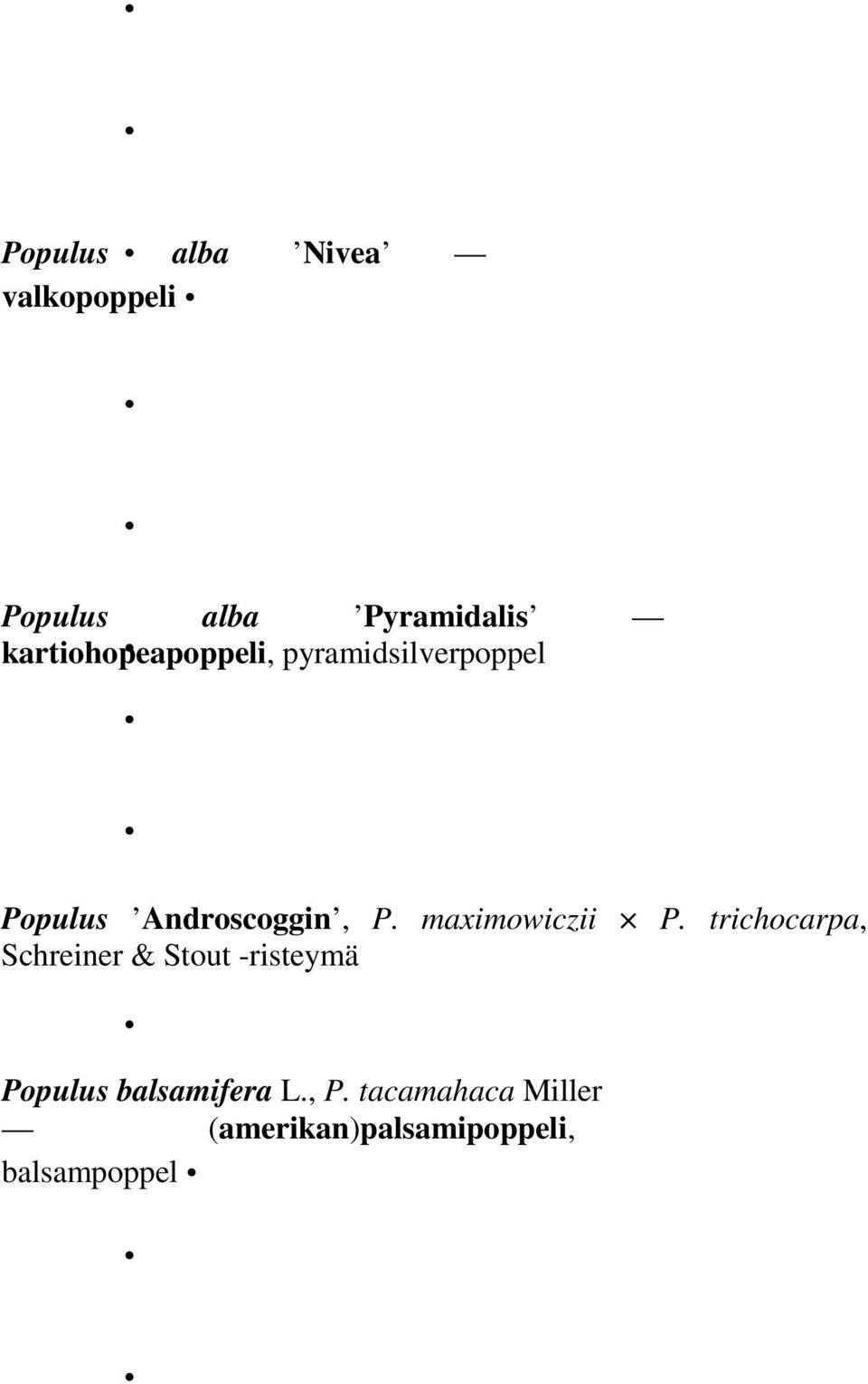 maximowiczii P.