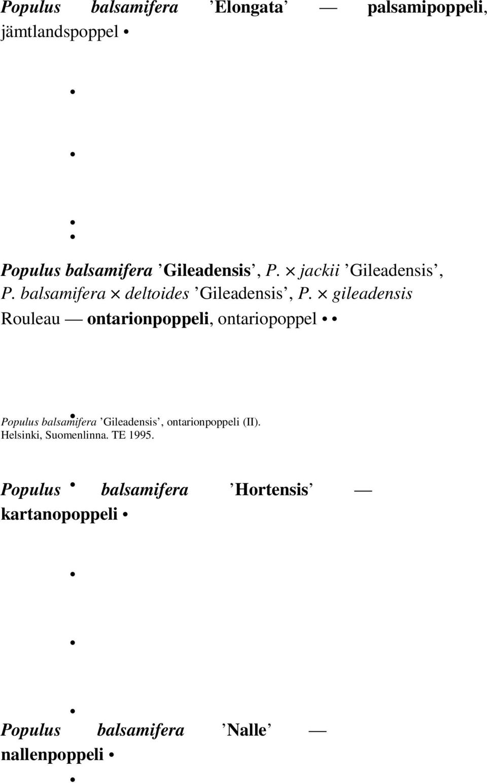 gileadensis Rouleau ontarionpoppeli, ontariopoppel Populus balsamifera Gileadensis,