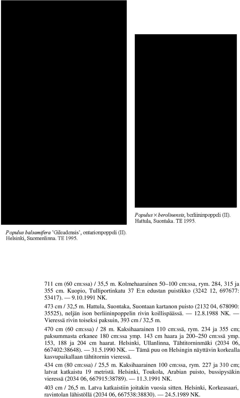 Hattula, Suontaka, Suontaan kartanon puisto (2132 04, 678090: 35525), neljän ison berliininpoppelin rivin koillispäässä. 12.8.1988 NK. Vieressä rivin toiseksi paksuin, 393 cm / 32,5 m.