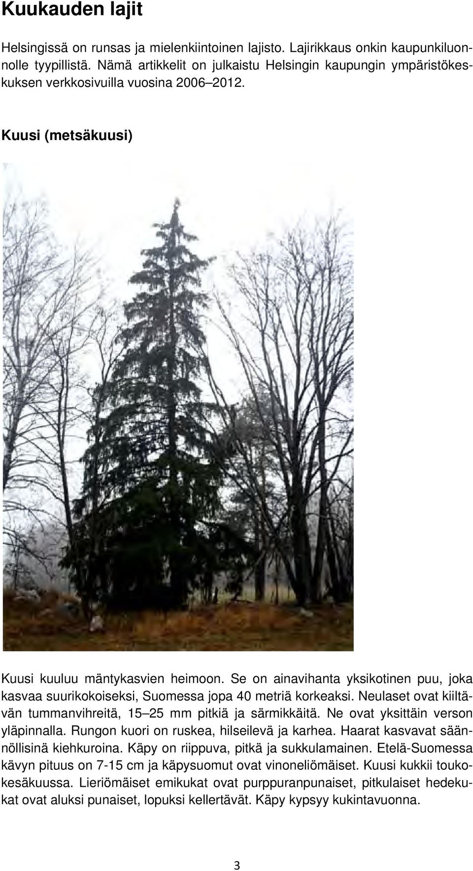 Se on ainavihanta yksikotinen puu, joka kasvaa suurikokoiseksi, Suomessa jopa 40 metriä korkeaksi. Neulaset ovat kiiltävän tummanvihreitä, 15 25 mm pitkiä ja särmikkäitä.