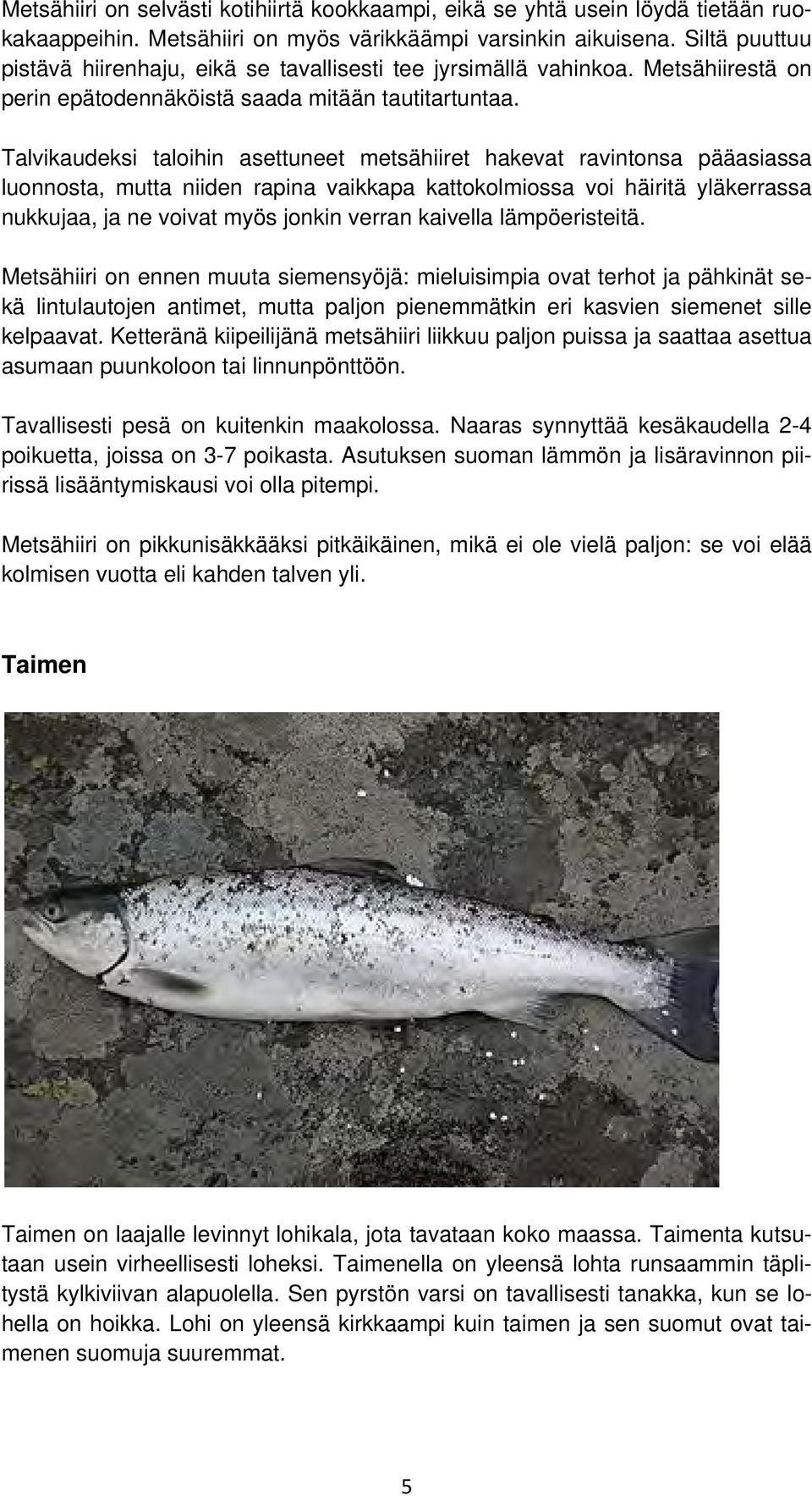 Talvikaudeksi taloihin asettuneet metsähiiret hakevat ravintonsa pääasiassa luonnosta, mutta niiden rapina vaikkapa kattokolmiossa voi häiritä yläkerrassa nukkujaa, ja ne voivat myös jonkin verran