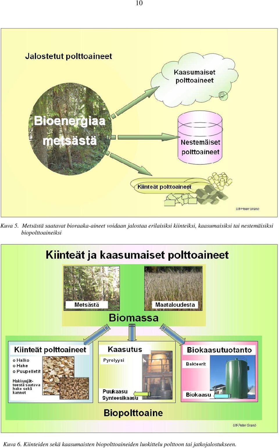 erilaisiksi kiinteiksi, kaasumaisiksi tai nestemäisiksi