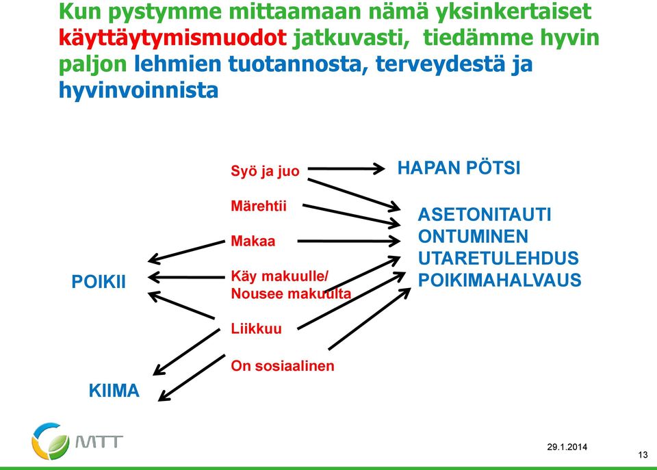 POIKII KIIMA Syö ja juo Märehtii Makaa Käy makuulle/ Nousee makuulta Liikkuu