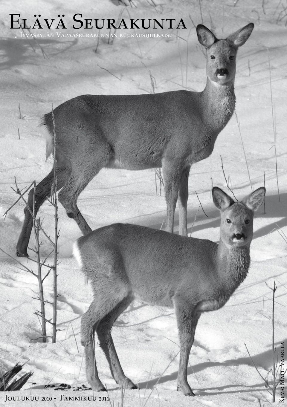 kuukausijulkaisu Joulukuu