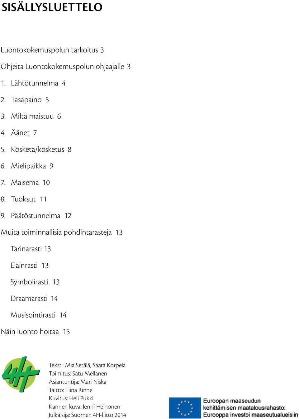 Päätöstunnelma 12 Muita toiminnallisia pohdintarasteja 13 Tarinarasti 13 Eläinrasti 13 Symbolirasti 13 Draamarasti 14 Musisointirasti 14 Näin