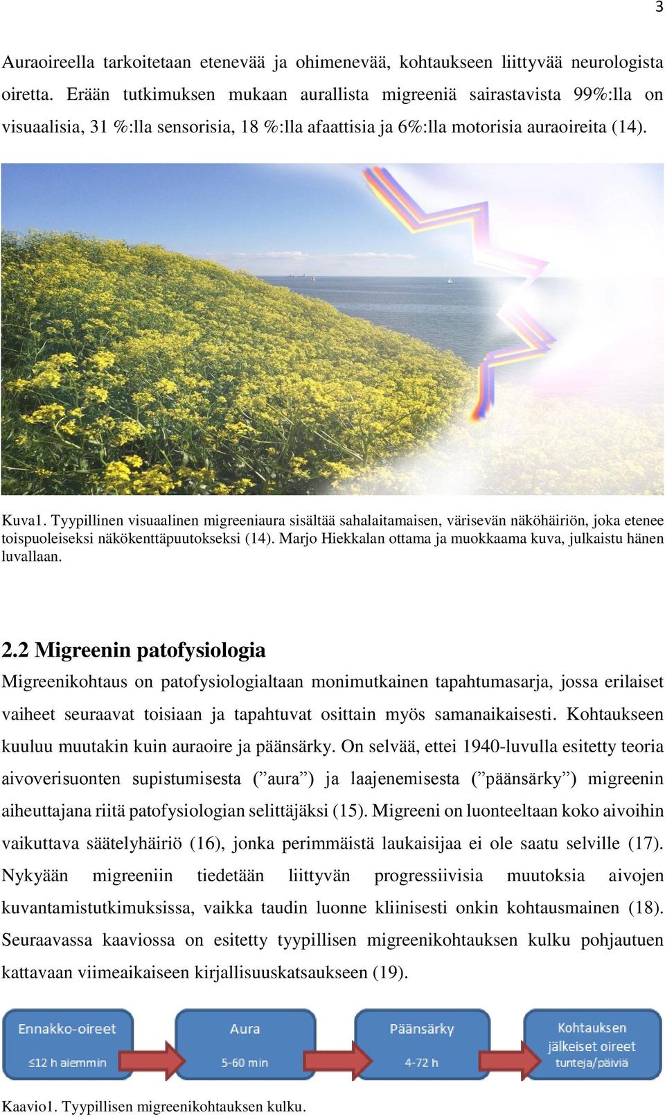 Tyypillinen visuaalinen migreeniaura sisältää sahalaitamaisen, värisevän näköhäiriön, joka etenee toispuoleiseksi näkökenttäpuutokseksi (14).