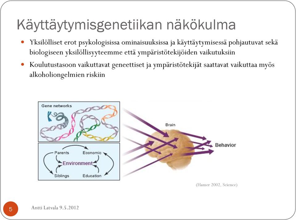 yksilöllisyyteemme että ympäristötekijöiden vaikutuksiin Koulutustasoon