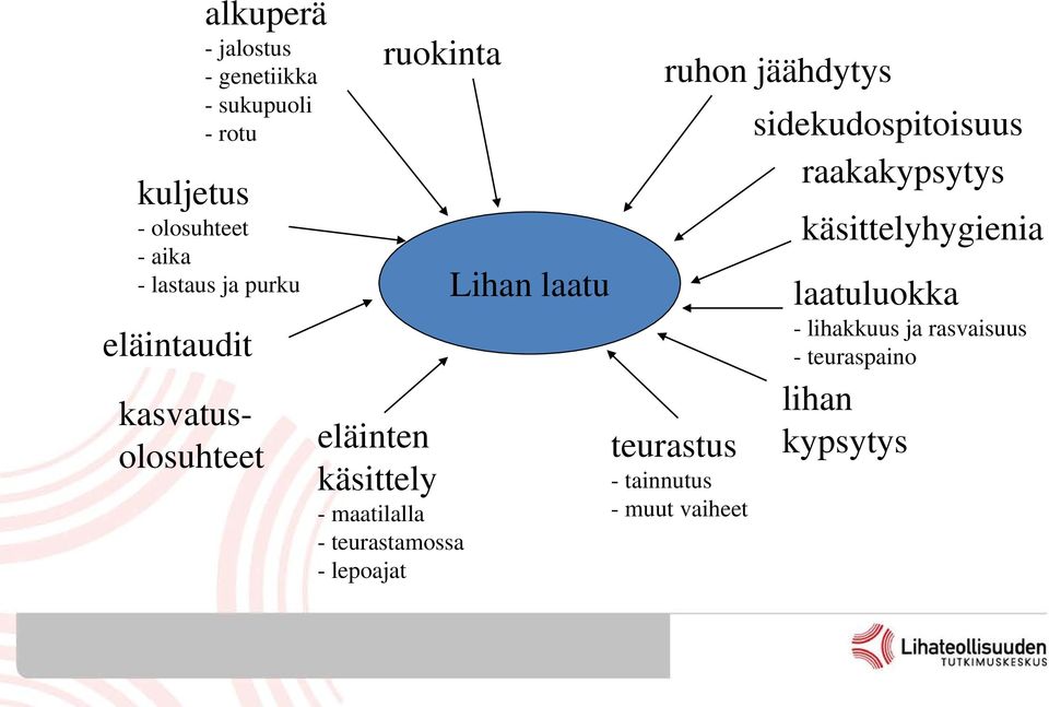 lepoajat Lihan laatu ruhon jäähdytys sidekudospitoisuus raakakypsytys teurastus - tainnutus -