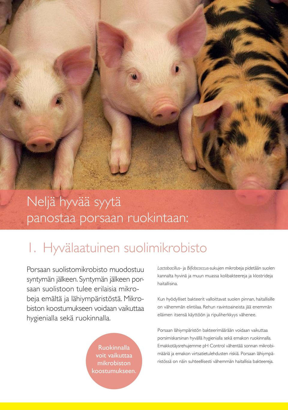 Ruokinnalla voit vaikuttaa mikrobiston koostumukseen. Lactobacillus- ja Bifidococcus-sukujen mikrobeja pidetään suolen kannalta hyvinä ja muun muassa kolibakteereja ja klostrideja haitallisina.