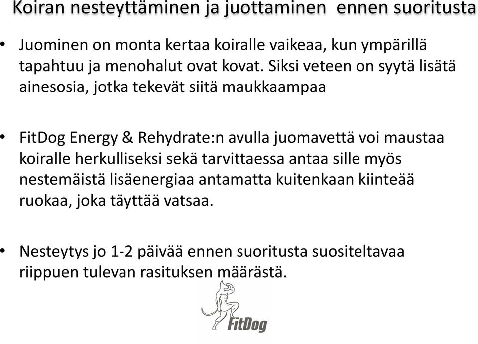 Siksi veteen on syytä lisätä ainesosia, jotka tekevät siitä maukkaampaa FitDog Energy & Rehydrate:n avulla juomavettä voi