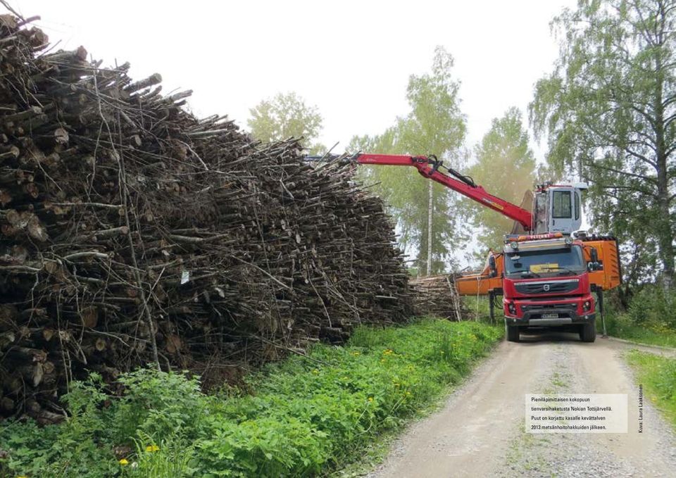 Puut on korjattu kasalle kevättalven 213