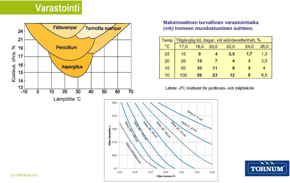 muodostumisen suhteen.