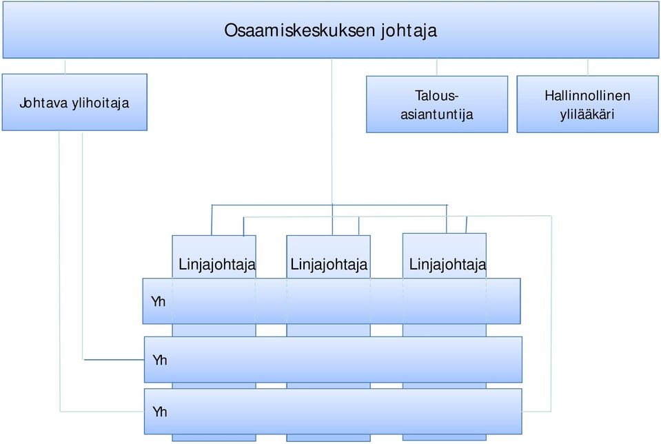 ylihoitaja Talousasiantuntija