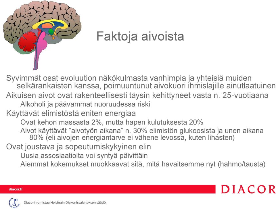 25-vuotiaana Alkoholi ja päävammat nuoruudessa riski Käyttävät elimistöstä eniten energiaa Ovat kehon massasta 2%, mutta hapen kulutuksesta 20% Aivot käyttävät