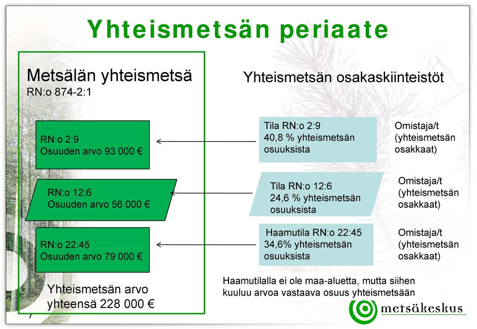 24,6 % yhteismetsän osuuksista Haamutila RN:o 22:45 34,6% yhteismetsän osuuksista Omistaja/t (yhteismetsän osakkaat) Omistaja/t