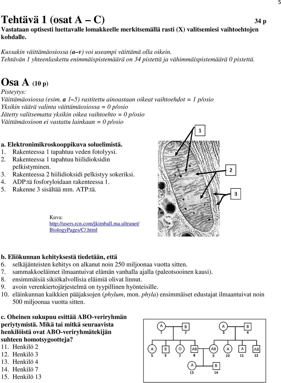 a 1 5) rastitettu ainoastaan oikeat vaihtoehdot = 1 p/osio Yksikin väärä valinta väittämäosiossa = 0 p/osio Jätetty valitsematta yksikin oikea vaihtoehto = 0 p/osio Väittämäosioon ei vastattu