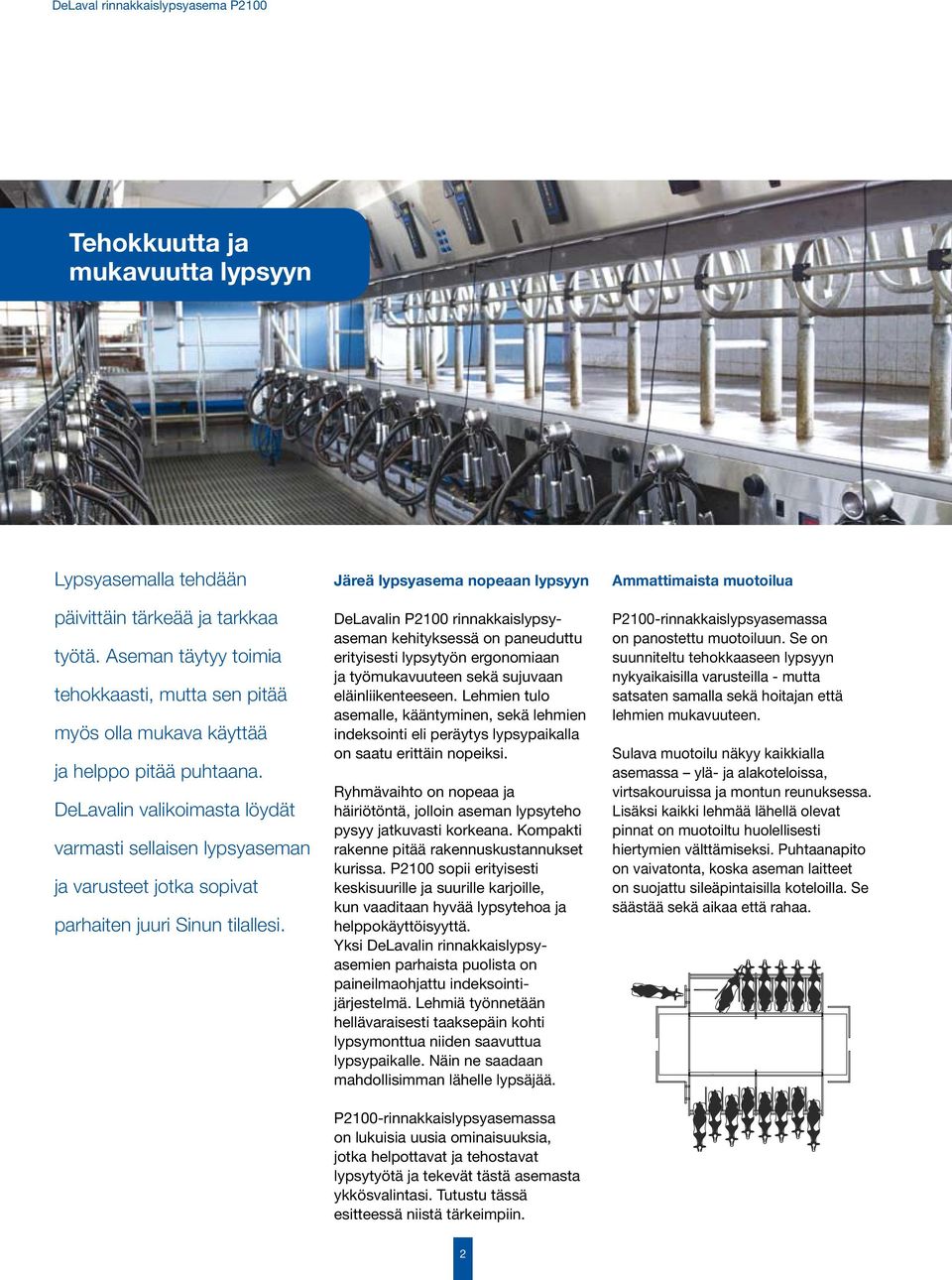 Järeä lypsyasema nopeaan lypsyyn DeLavalin P2100 rinnakkaislypsyaseman kehityksessä on paneuduttu erityisesti lypsytyön ergonomiaan ja työmukavuuteen sekä sujuvaan eläinliikenteeseen.