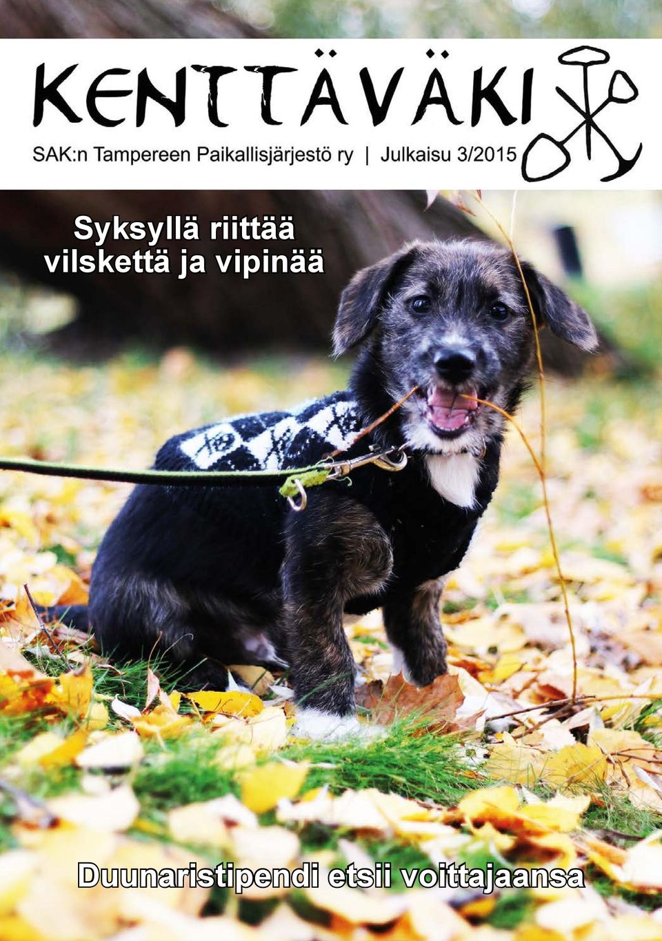 vipinää