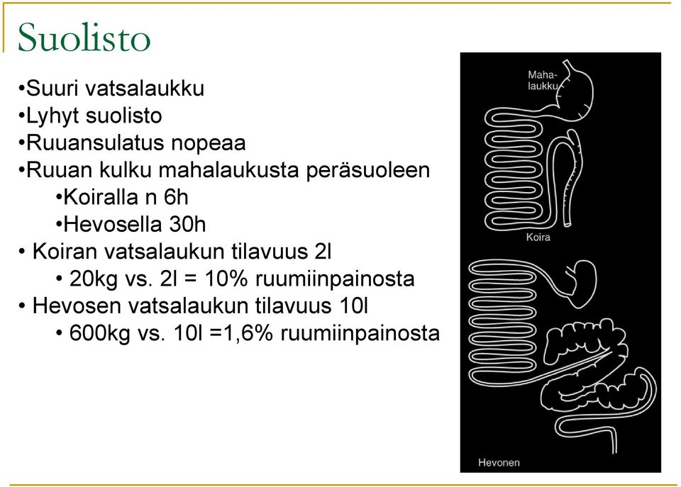 Koiran vatsalaukun tilavuus 2l 20kg vs.