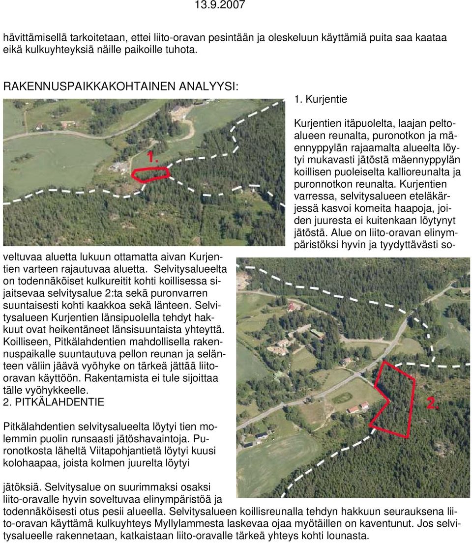 kallioreunalta ja puronnotkon reunalta. Kurjentien varressa, selvitysalueen eteläkärjessä kasvoi komeita haapoja, joiden juuresta ei kuitenkaan löytynyt jätöstä.