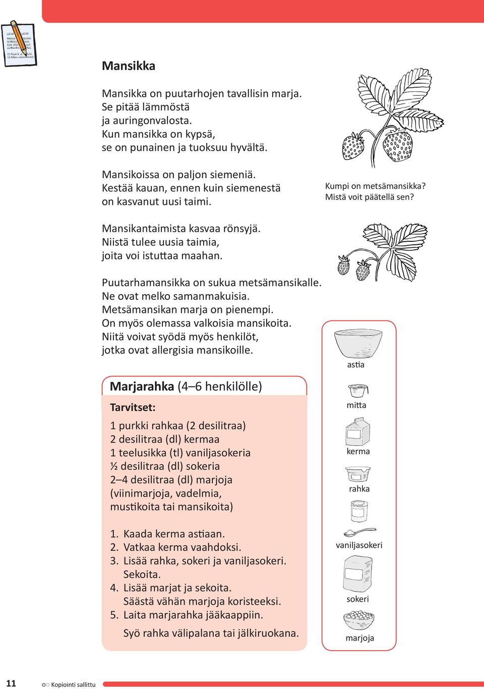 Puutarhamansikka on sukua metsämansikalle. Ne ovat melko samanmakuisia. Metsämansikan marja on pienempi. On myös olemassa valkoisia mansikoita.