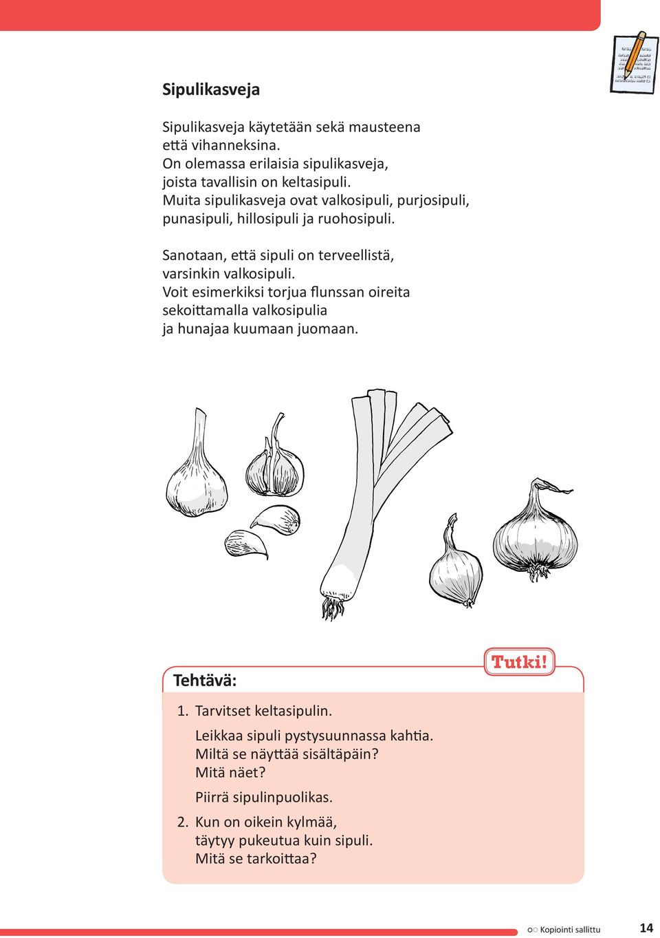 Voit esimerkiksi torjua flunssan oireita sekoittamalla valkosipulia ja hunajaa kuumaan juomaan. Tehtävä: 1. Tarvitset keltasipulin.