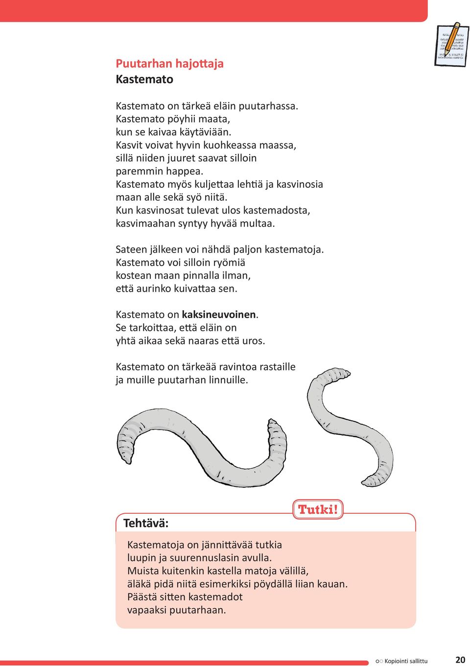 Kun kasvinosat tulevat ulos kastemadosta, kasvimaahan syntyy hyvää multaa. Sateen jälkeen voi nähdä paljon kastematoja.