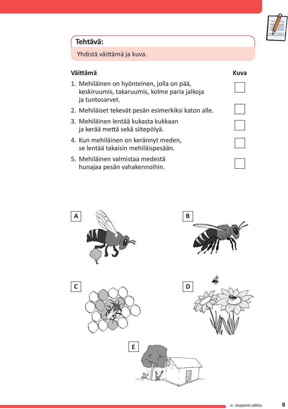 Mehiläiset tekevät pesän esimerkiksi katon alle. 3.