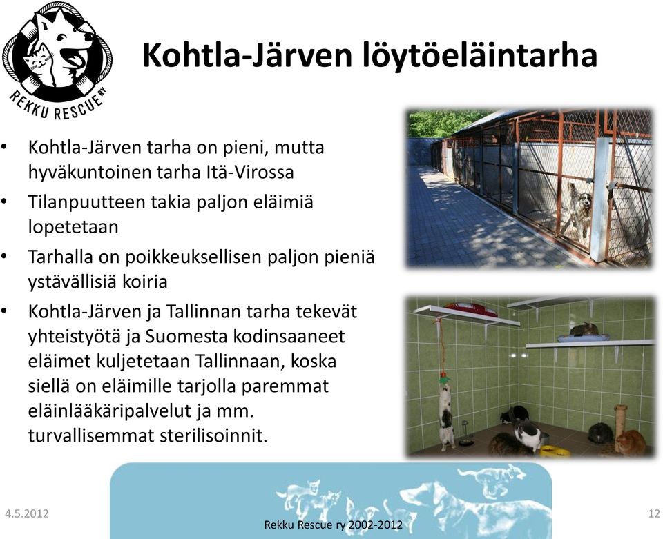 koiria Kohtla-Järven ja Tallinnan tarha tekevät yhteistyötä ja Suomesta kodinsaaneet eläimet kuljetetaan