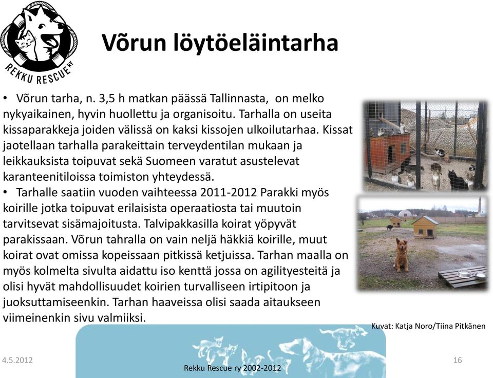 Kissat jaotellaan tarhalla parakeittain terveydentilan mukaan ja leikkauksista toipuvat sekä Suomeen varatut asustelevat karanteenitiloissa toimiston yhteydessä.