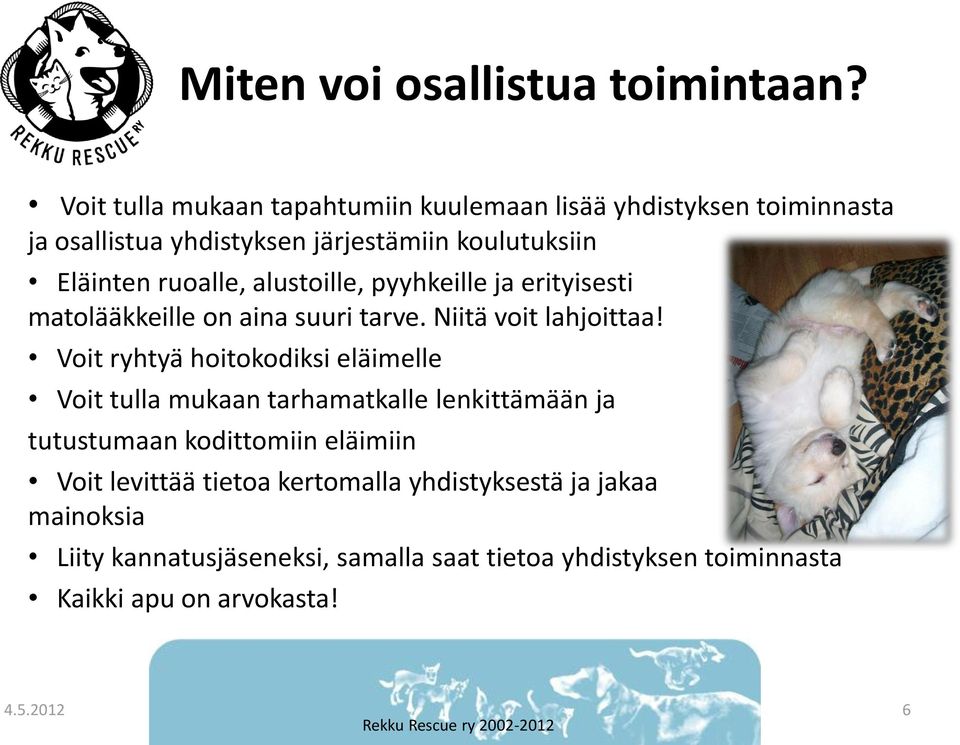 ruoalle, alustoille, pyyhkeille ja erityisesti matolääkkeille on aina suuri tarve. Niitä voit lahjoittaa!