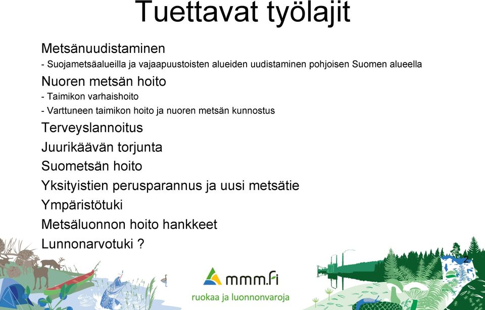 taimikon hoito ja nuoren metsän kunnostus Terveyslannoitus Juurikäävän torjunta Suometsän hoito