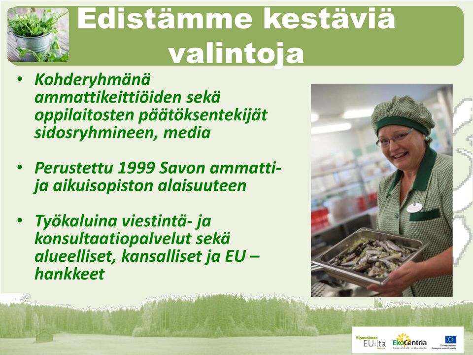 1999 Savon ammattija aikuisopiston alaisuuteen Työkaluina