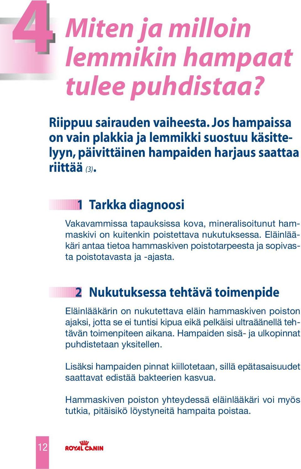 Eläinlääkäri antaa tietoa hammaskiven poistotarpeesta ja sopivasta poistotavasta ja -ajasta.