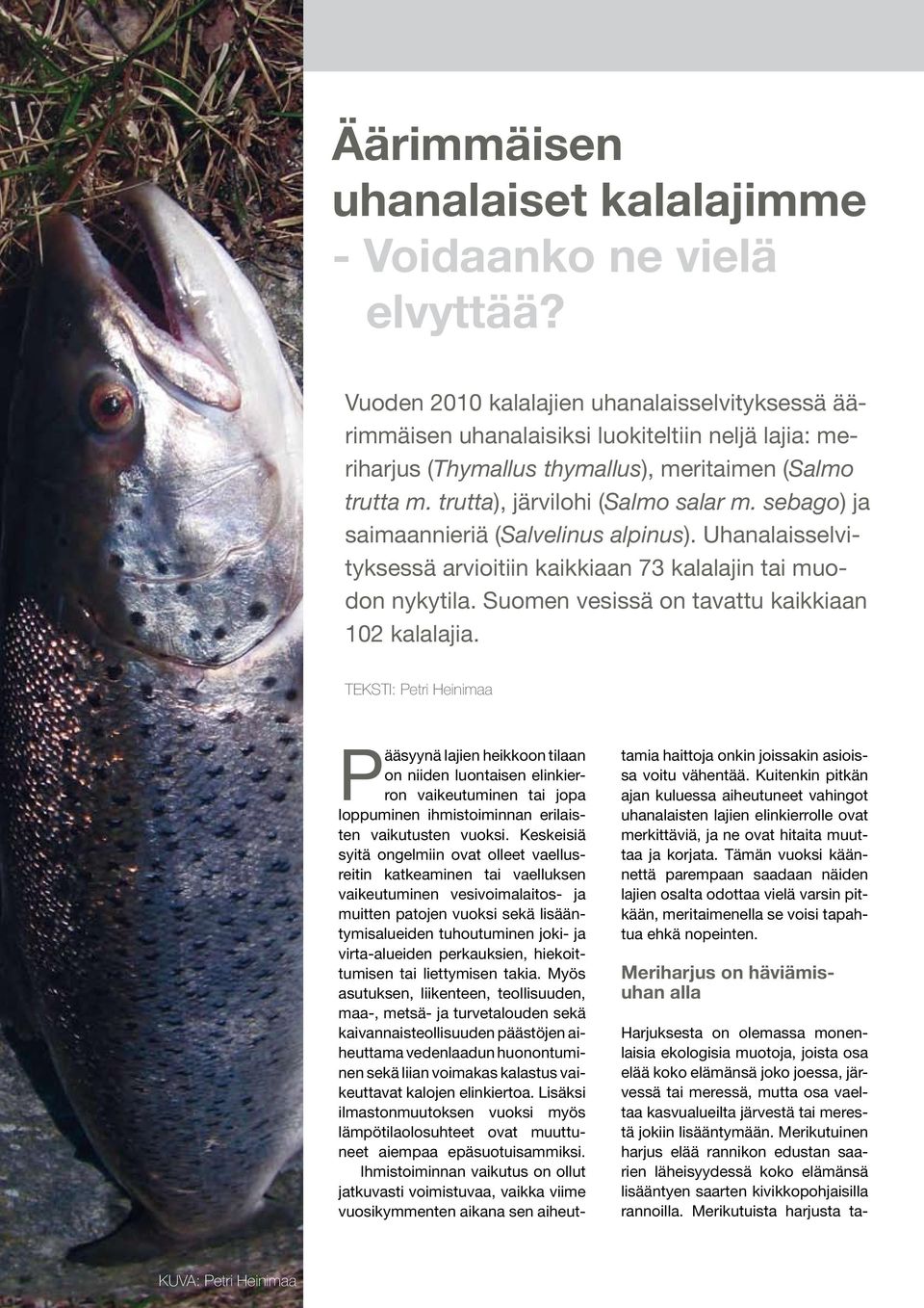 sebago) ja saimaannieriä (Salvelinus alpinus). Uhanalaisselvityksessä arvioitiin kaikkiaan 73 kalalajin tai muodon nykytila. Suomen vesissä on tavattu kaikkiaan 102 kalalajia.