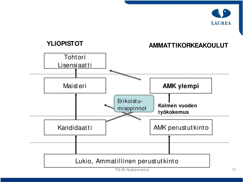 Erikoistumisopinnot Kolmen vuoden työkokemus