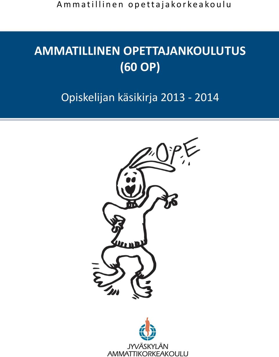 AMMATILLINEN OPETTAJANKOULUTUS