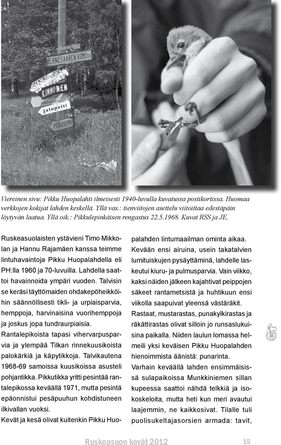 Ruskeasuolaisten ystävieni Timo Mikkolan ja Hannu Rajamäen kanssa teimme lintuhavaintoja Pikku Huopalahdella eli PH:lla 1960 ja 70-luvuilla. Lahdella saattoi havainnoida ympäri vuoden.