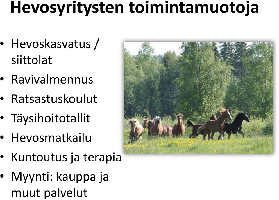 Ratsastuskoulut Täysihoitotallit