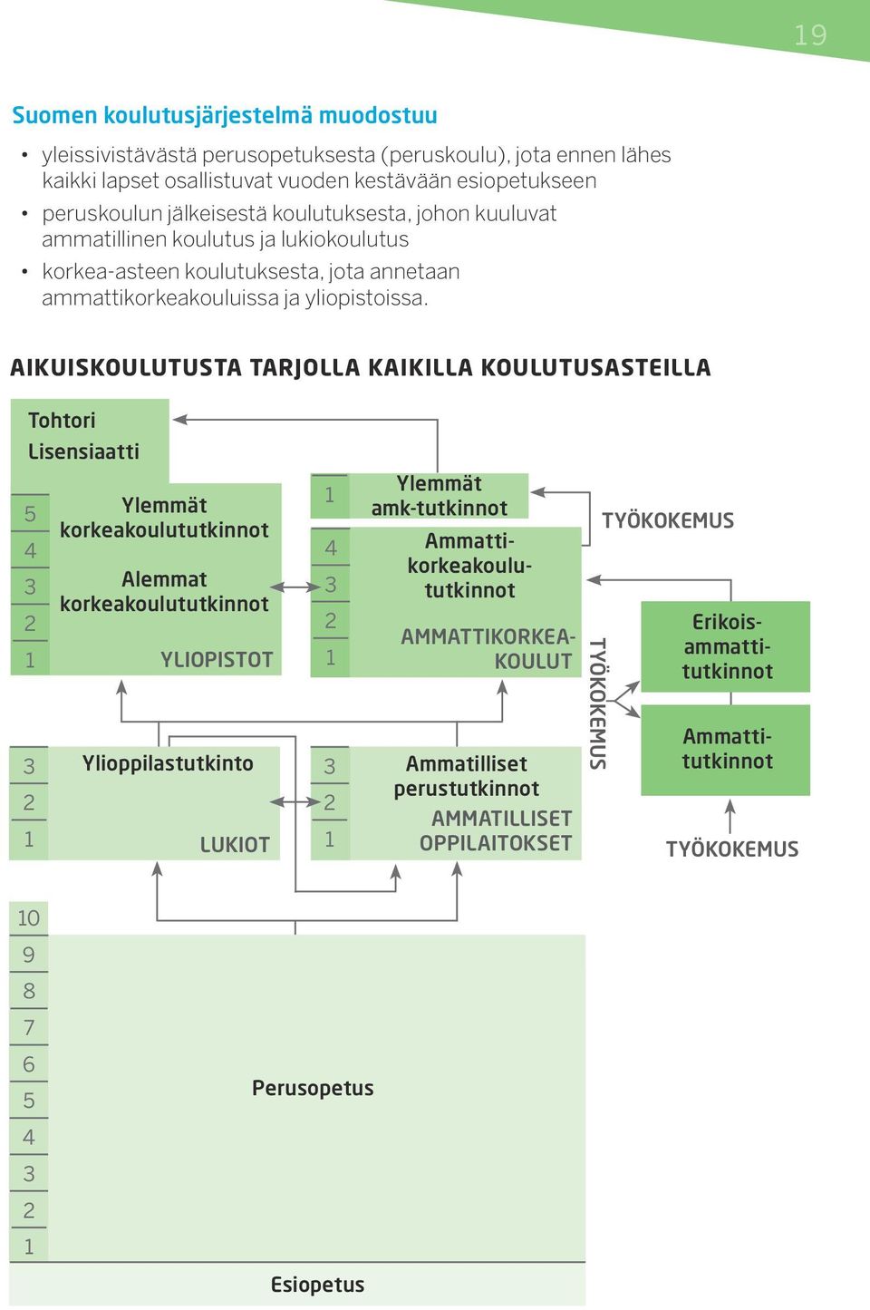 Aikuiskoulutusta tarjolla kaikilla koulutusasteilla Tohtori Lisensiaatti 5 4 3 2 1 3 2 1 Ylemmät korkeakoulututkinnot Alemmat korkeakoulututkinnot Yliopistot Ylioppilastutkinto Lukiot 1 4 3 2 1 3