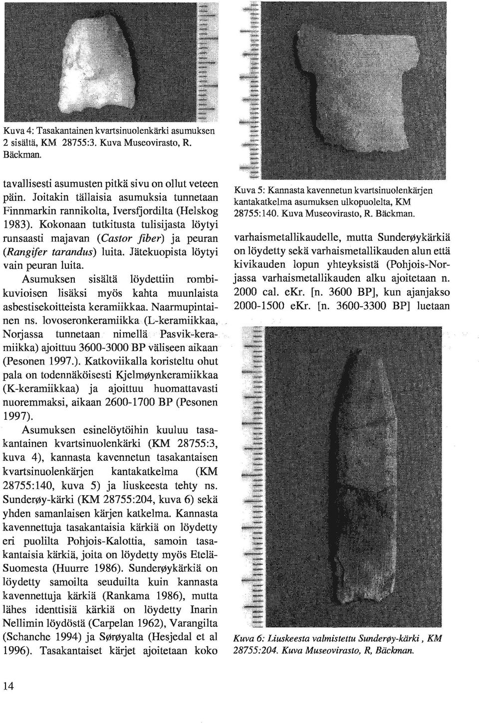 Kokonaan tutkitusta tulisijasta löytyi runsaasti majavan (Castor fiber) ja peuran (Rangifer tarandus) luita. Jätekuopista löytyi vain peuran luita.