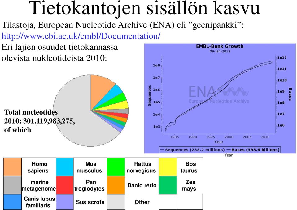 uk/embl/documentation/ Eri lajien osuudet tietokannassa olevista nukleotideista 2010: Total