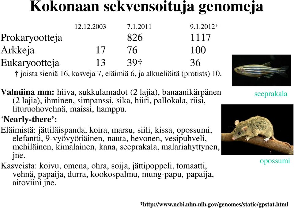 Nearly-there : Eläimistä: jättiläispanda, koira, marsu, siili, kissa, opossumi, elefantti, 9-vyövyötiäinen, nauta, hevonen, vesipuhveli, mehiläinen, kimalainen, kana, seeprakala,