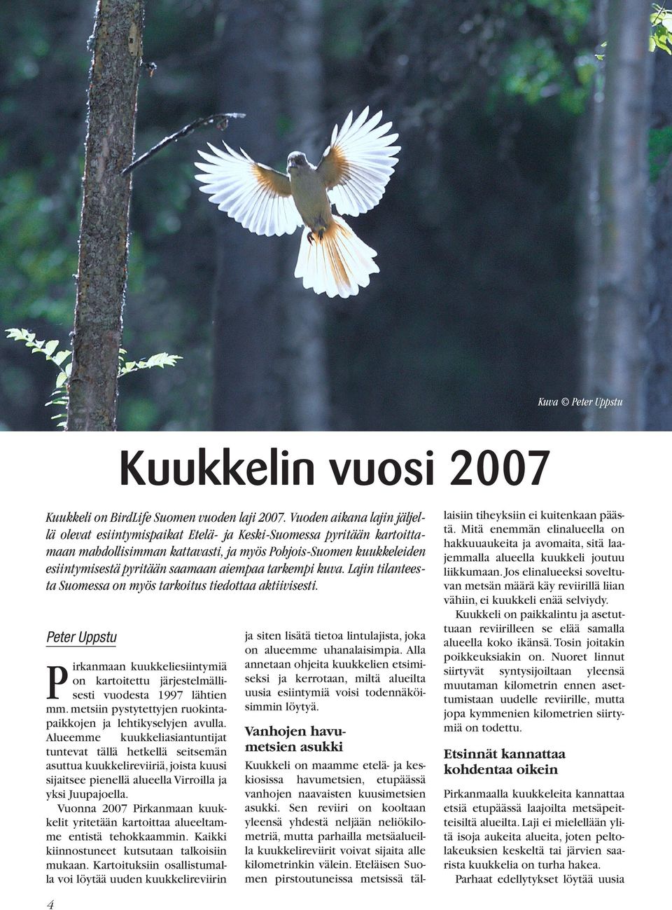 Vuonna 2007 Pirkanmaan kuukkelit yritetään kartoittaa alueeltamme entistä tehokkaammin. Kaikki kiinnostuneet kutsutaan talkoisiin mukaan.