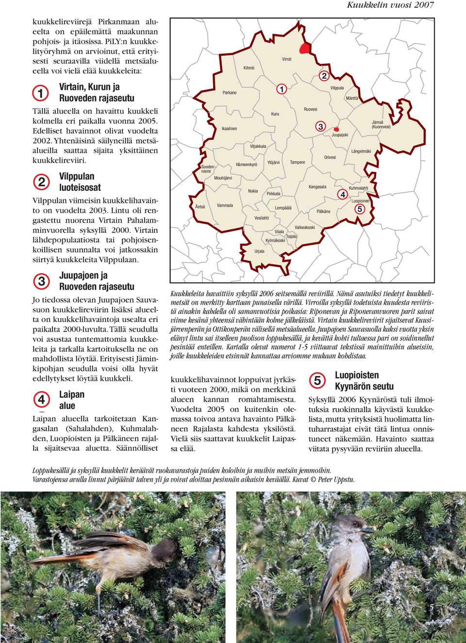 kolmella eri paikalla vuonna 2005. Edelliset havainnot olivat vuodelta 2002. Yhtenäisinä säilyneillä metsäalueilla saattaa sijaita yksittäinen kuukkelireviiri.