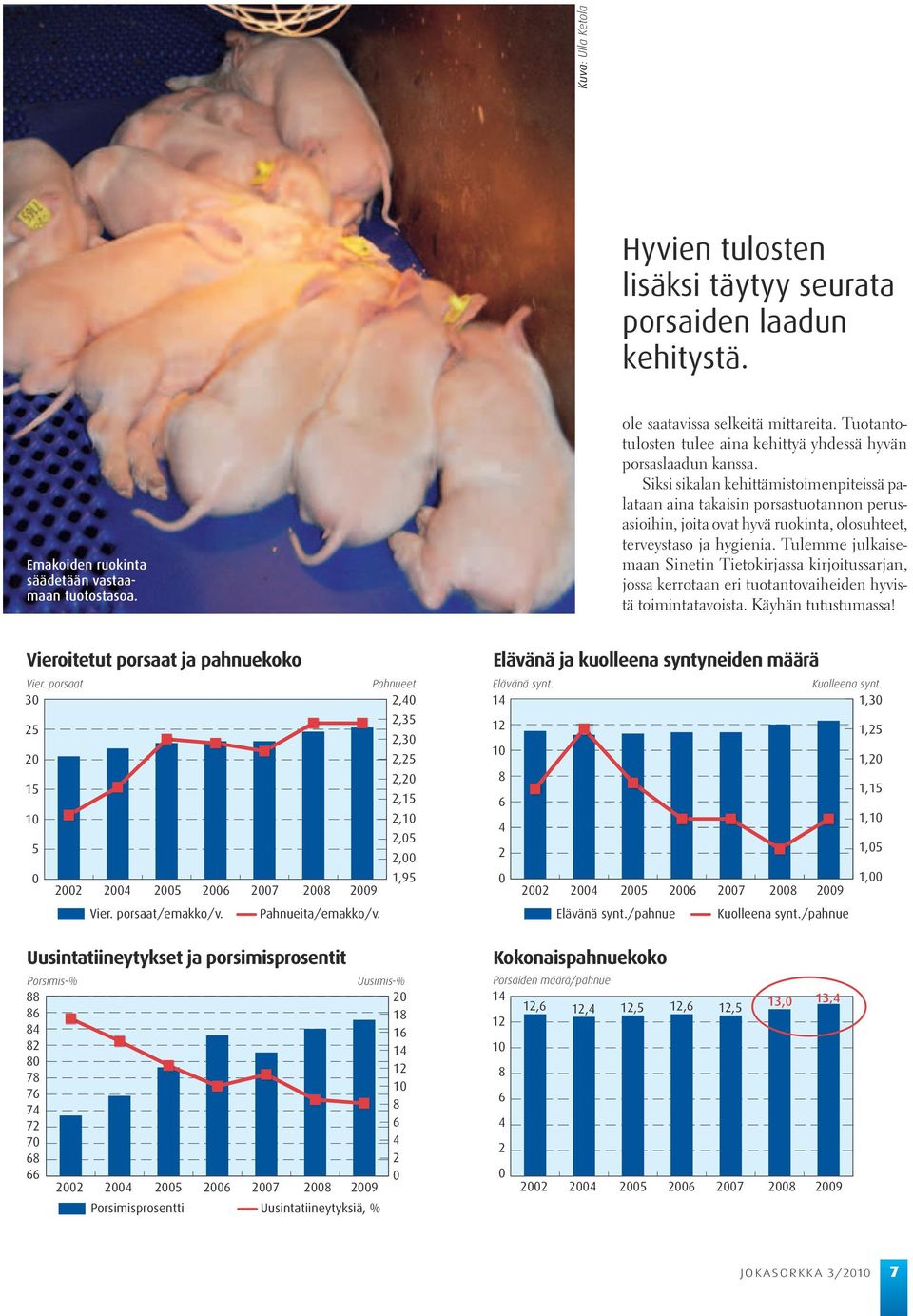 Siksi sikalan kehittämistoimenpiteissä palataan aina takaisin porsastuotannon perusasioihin, joita ovat hyvä ruokinta, olosuhteet, terveystaso ja hygienia.